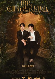 Мистер Золушка